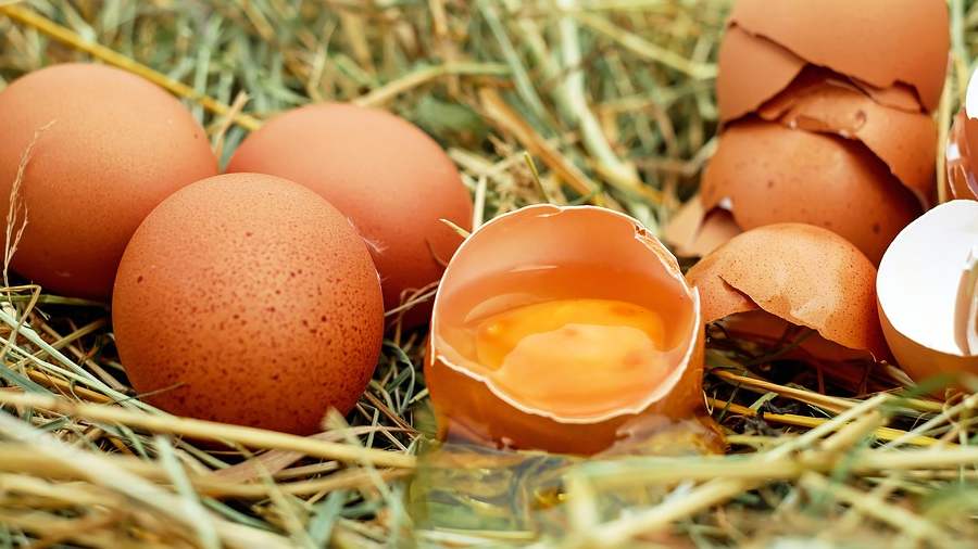 A tojás káros a szív egészségére