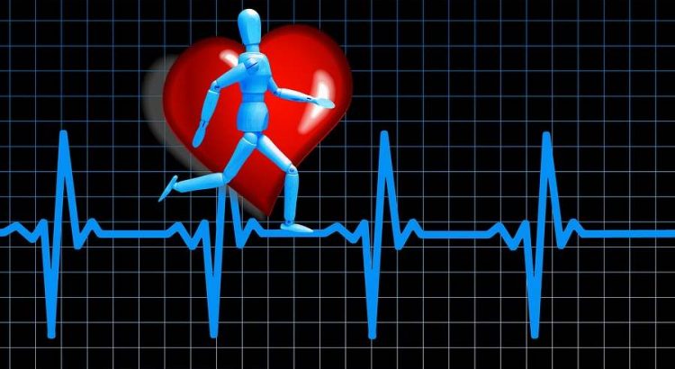 egészséges szív egészségének elősegítése