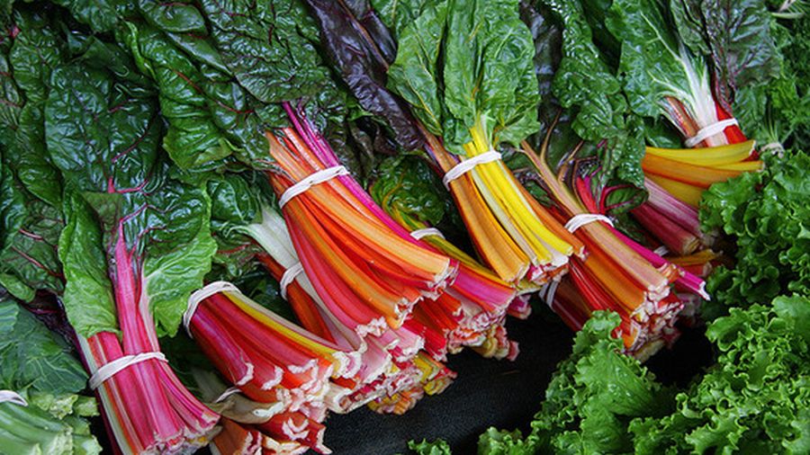 A kertészkedés 6 egészségre gyakorolt pozitív hatása - Agrofórum Online